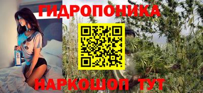 гидра Краснодар