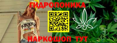 гидропоника Краснознаменск