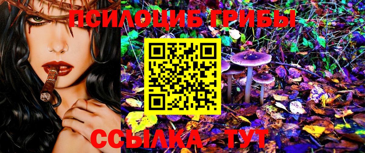 цены наркотик  Псилоцибиновые грибы Psilocybe  Вход с VPN  Армавир 